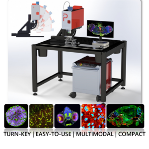 MPX - Multiphoton microscope.
