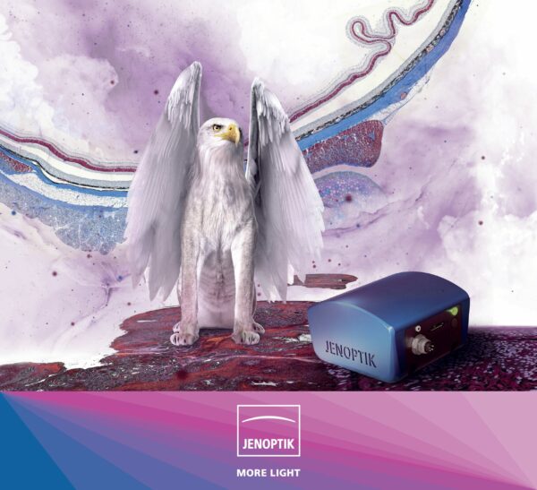 Prokyon - Image 5
